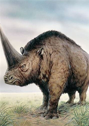 Elasmotherium
