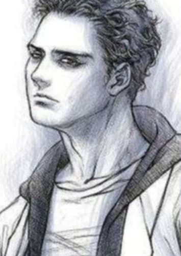 Emmett McCarty Cullen          (Vampire)