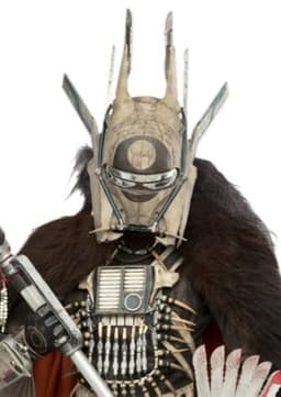 Enfys Nest