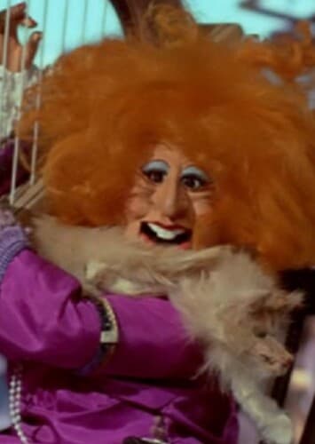 Enkefru Stengelføhn-Glad