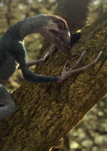 Epidexipteryx