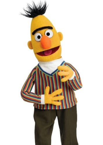 Bert