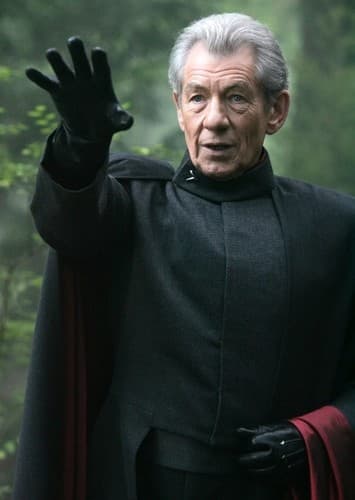 Eric Lehnsherr / Magneto