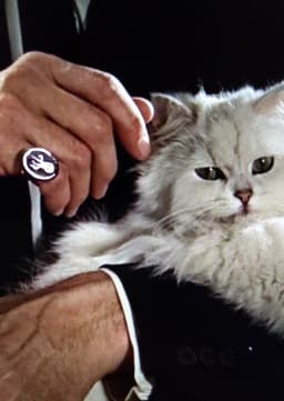 Ernst Stavro Blofeld