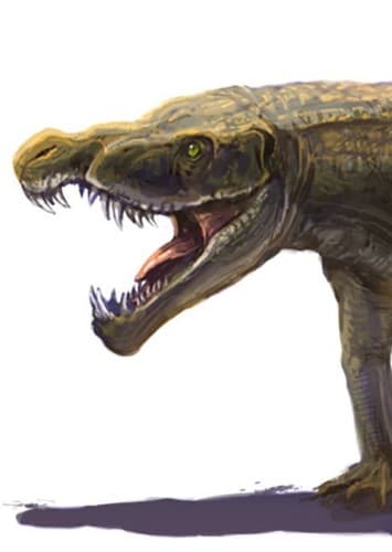 Erpetosuchus