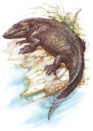 Eryops