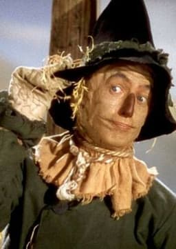 Espantapájaros (hunk)