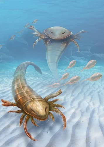 Eurypterids