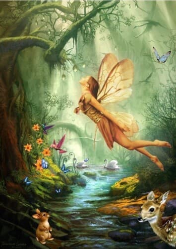 Fairy