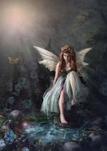 Fairy