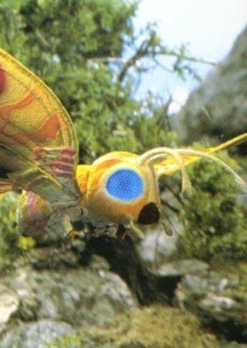 Fairy Mothra