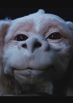 Falkor
