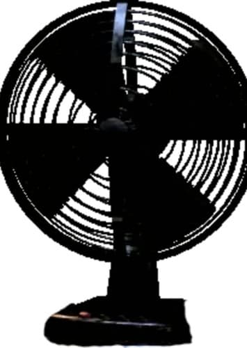 Fan