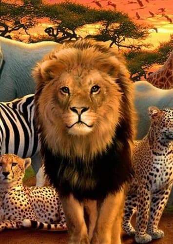 African Fauna Featured