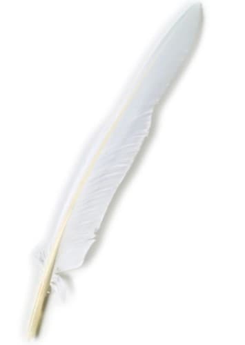 Feather