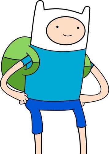 Finn The Human