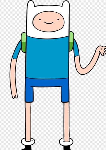 Finn The Human