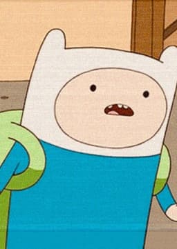 Finn the Human