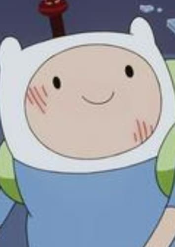 Finn The Human