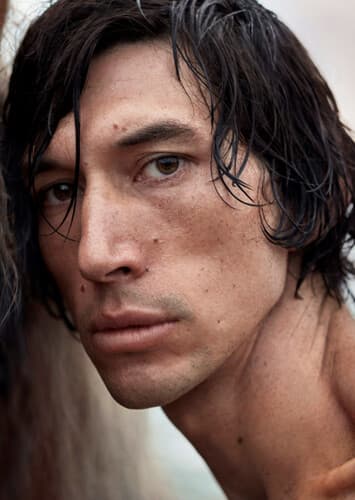 FitzChivalry Farseer