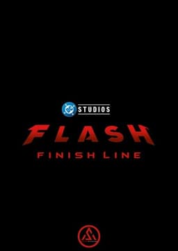 FLASH 2