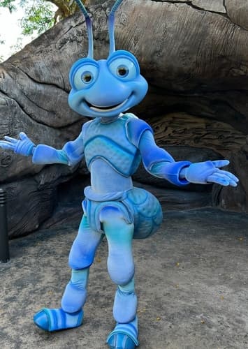 Flik