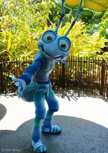 Flik