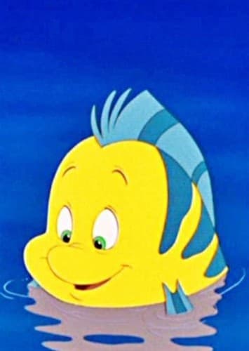 Flounder