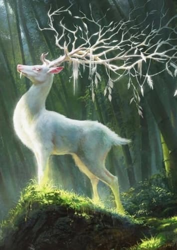 Forest Spirit