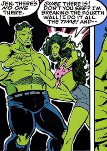 Fourth-Wall Observer