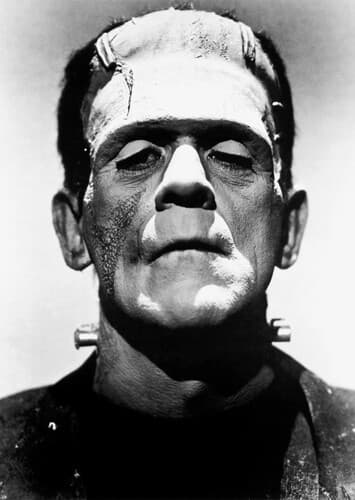 Frankenstein's Monster