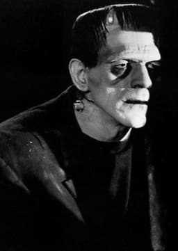Frankenstein Monster