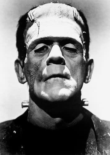 Frankenstein's Monster