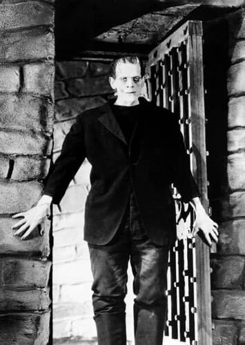 Frankenstein's Monster