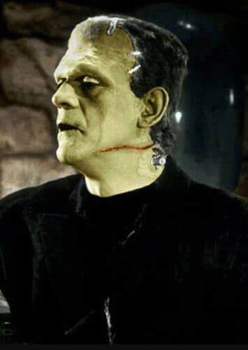 Frankenstein's Monster