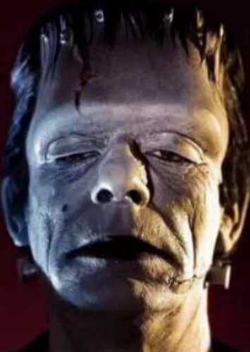 Frankenstein’s Monster