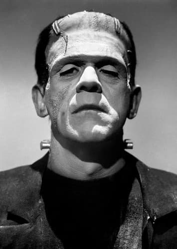 Frankenstein's Monster