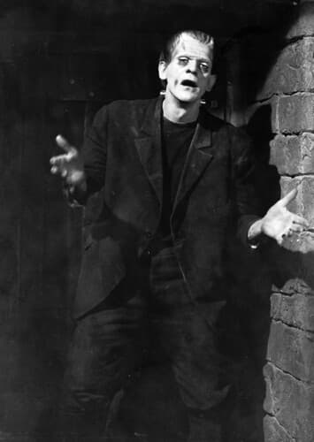 Frankenstein's Monster