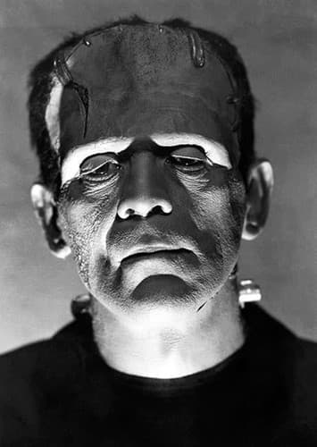 Frankenstein's Monster