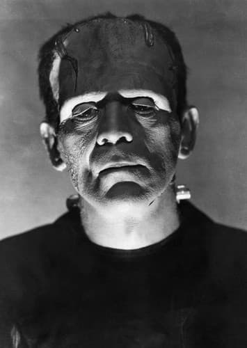Frankenstein's Monster