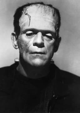 Frankenstein's Monster