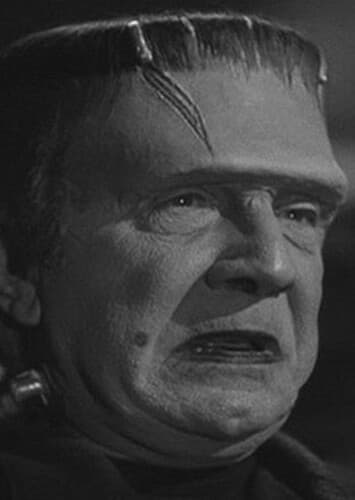 Frankenstein’s Monster