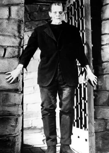 Frankenstein's Monster