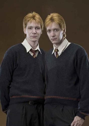 Fred and George weasley