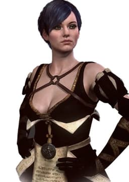 Fringilla Vigo