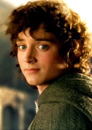 Frodo Baggins