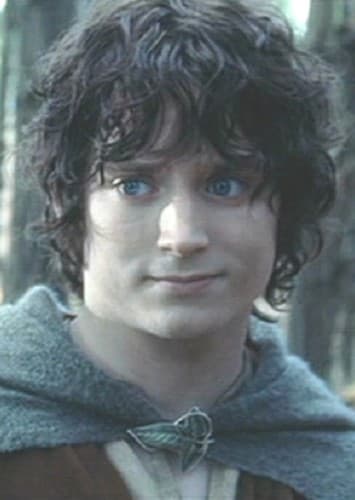 Frodo baggins
