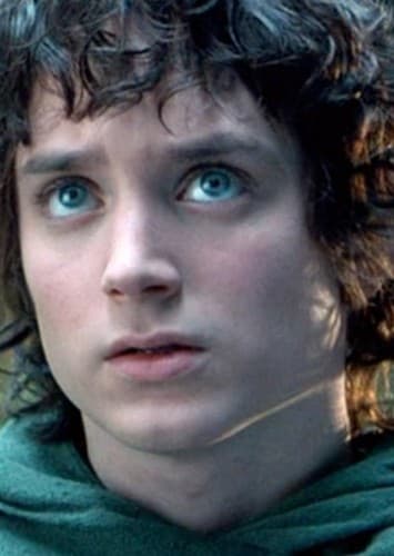 Frodo Baggins