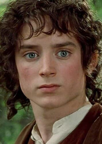 Frodo Baggins