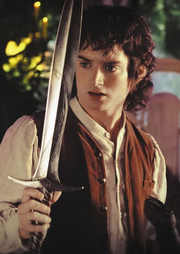 Frodo Baggins